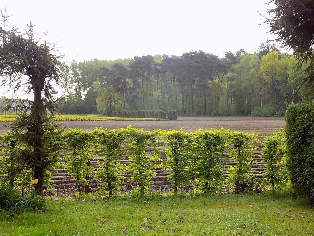 Verblijfpark De Brem Lille Exterior foto